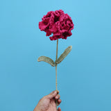 GROW Crochet Flowers