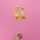GROW Crochet Flowers
