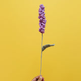 GROW Crochet Flowers