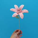 GROW Crochet Flowers