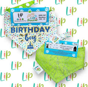 Life is Pawsome Birthday Boy Dog Bandana