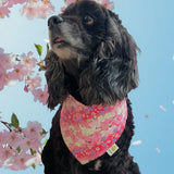 Life is Pawsome Blossom Dog or Cat Bandana
