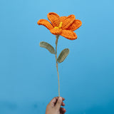 GROW Crochet Flowers