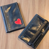 Project Nova Odonette Passport Holder