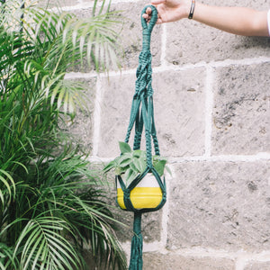 Likha Plant Holder